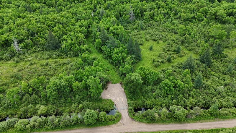11840 Rice Haven Rd, Floodwood, MN 55736