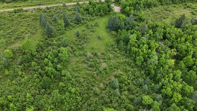 11840 Rice Haven Rd, Floodwood, MN 55736