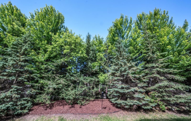 8619 Lake Riley Dr, Chanhassen, MN 55317