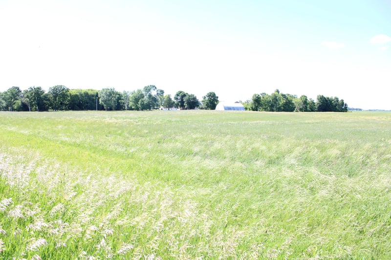 TBD 225th St, Silver Lake, MN 55381