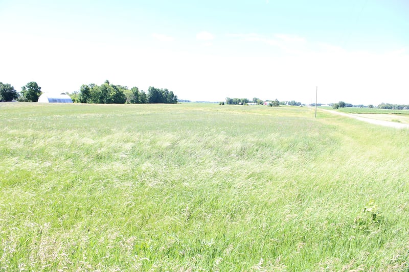 TBD 225th St, Silver Lake, MN 55381