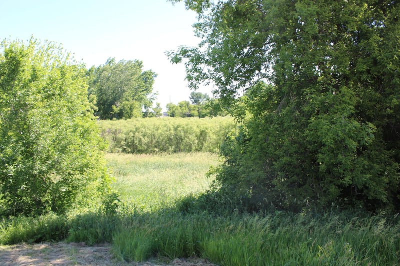 TBD 225th St, Silver Lake, MN 55381