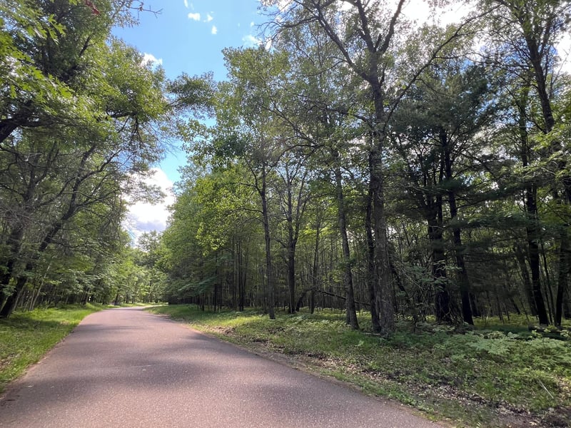 LOT 14 Loon Lake Rd, Danbury, WI 54830