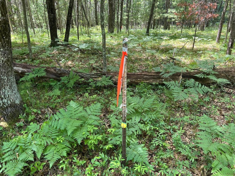 LOT 14 Loon Lake Rd, Danbury, WI 54830