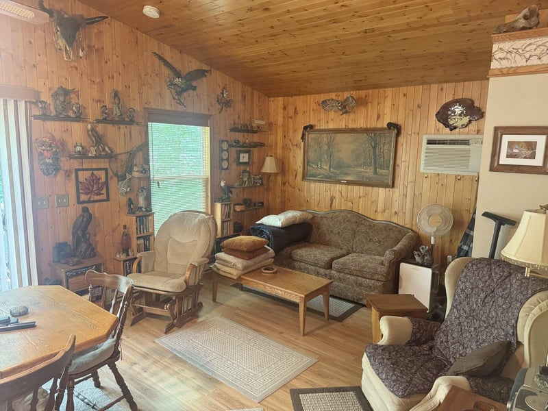13800 Birchwood Trl, Pine City, MN 55063