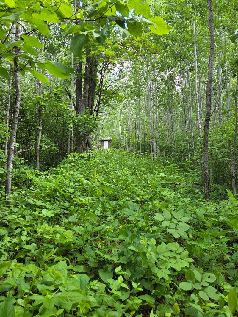 XXX Mt Nelson Rd, Mahtowa, MN 55707