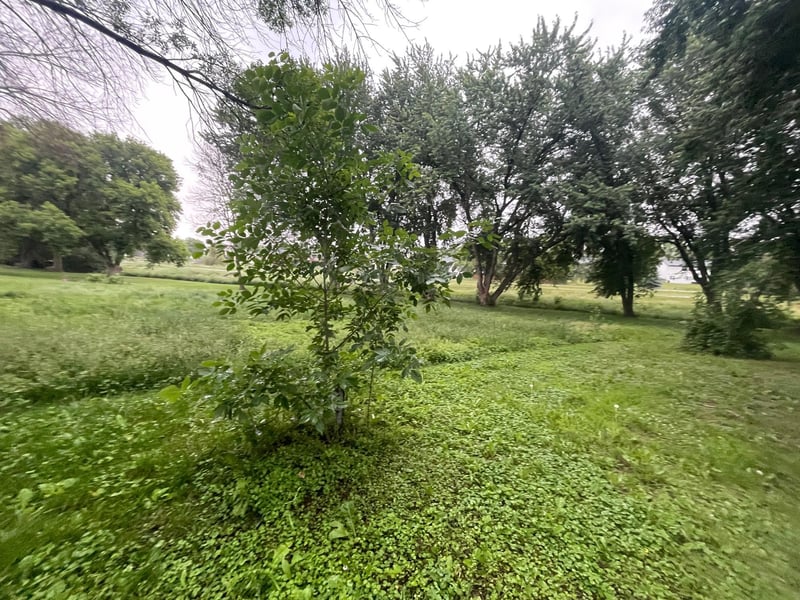 817 Colorado St NW, Lonsdale, MN 55046