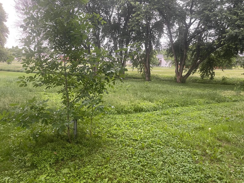 817 Colorado St NW, Lonsdale, MN 55046