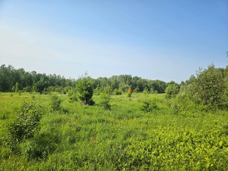 21048 County Road 36, Crosby, MN 56441