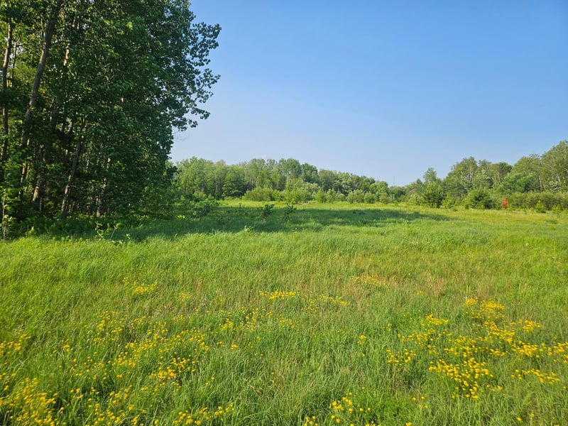 21048 County Road 36, Crosby, MN 56441