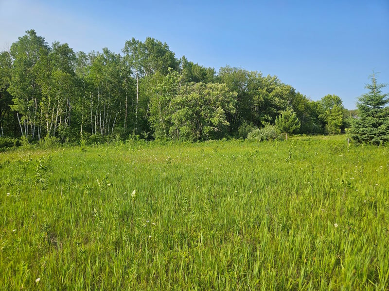 TBD County Road 36, Crosby, MN 56441