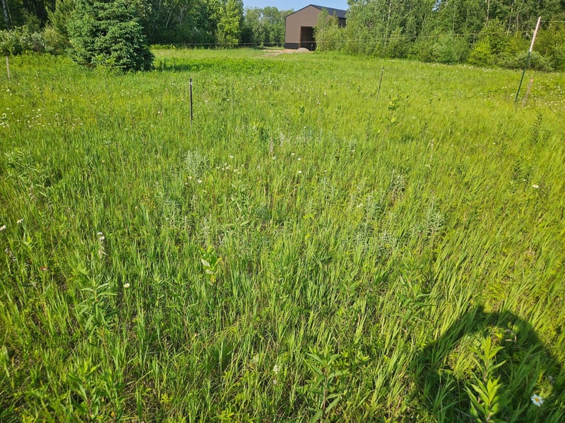 TBD County Road 36, Crosby, MN 56441