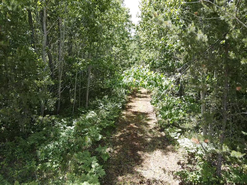 TBD-39AC North River Rd, Danbury, WI 54830