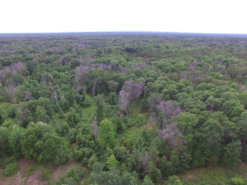 25385 Spaulding Rd, Grantsburg, WI 54840