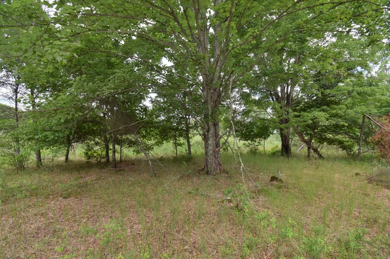 25385 Spaulding Rd, Grantsburg, WI 54840
