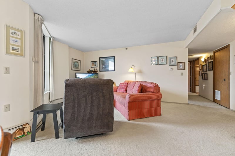 6615 Lake Shore Dr S #1009, Richfield, MN 55423