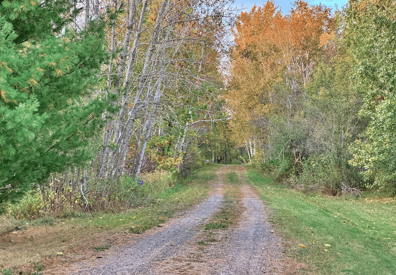 TBD Ash Ct, Garrison, MN 56450