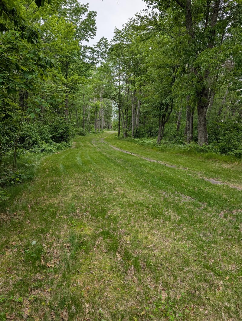 64100 E Ruth Lake Rd, Iron River, WI 54847