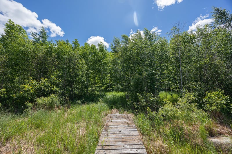 TBD State Hwy 84, Longville, MN 56655