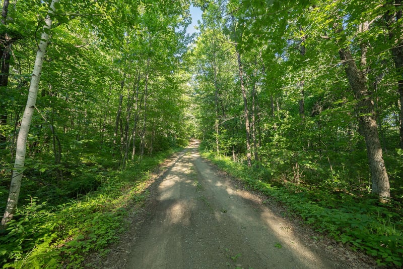 TBD State Hwy 84, Longville, MN 56655