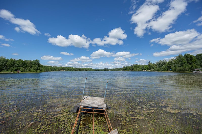 TBD State Hwy 84, Longville, MN 56655