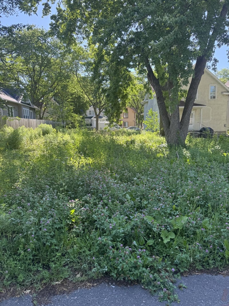2915 Colfax Ave N, Minneapolis, MN 55411