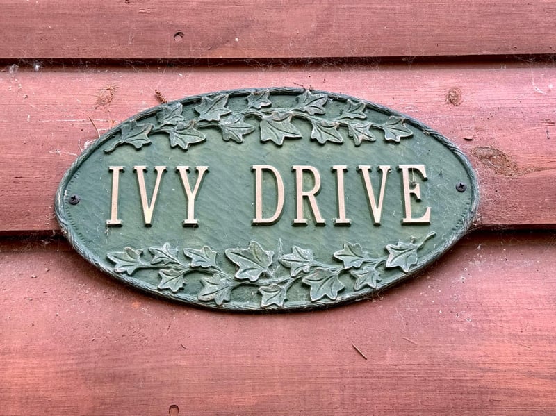 17619 Ivy Dr, Park Rapids, MN 56470