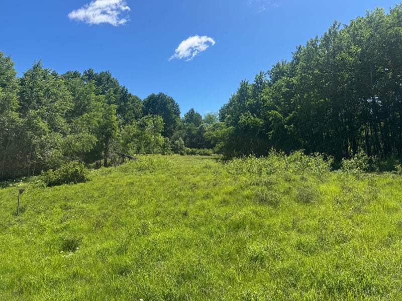 15043 S Thorn Lake Loop, Gordon, WI 54838