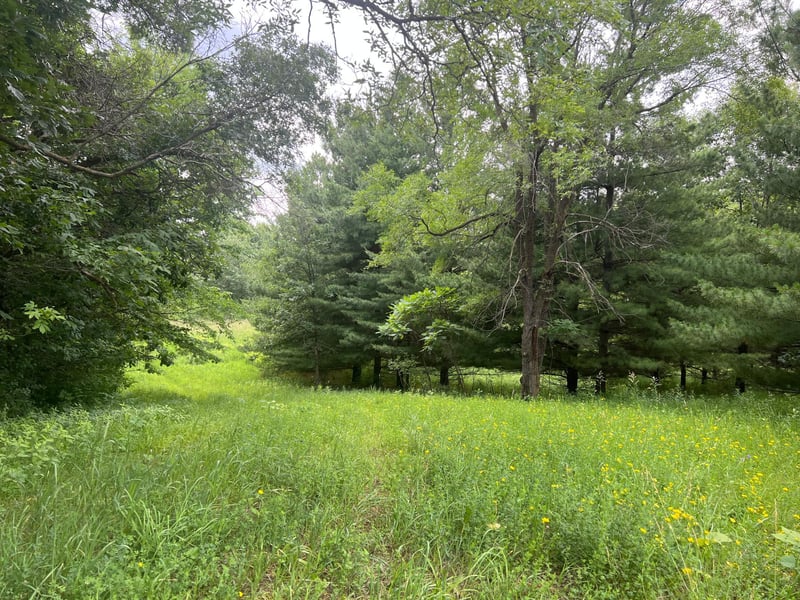 TBD 50th St W, Webster, MN 55088