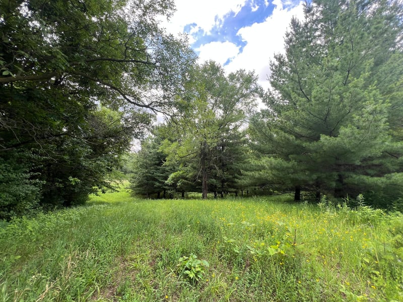 TBD 50th St W, Webster, MN 55088