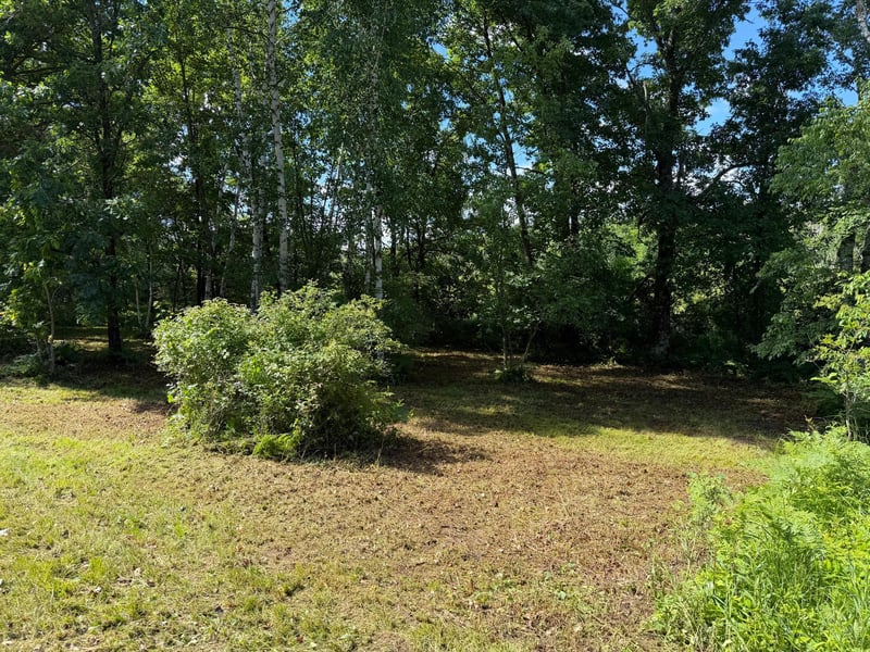 TBD West Bone Lake Dr, Milltown, WI 54858