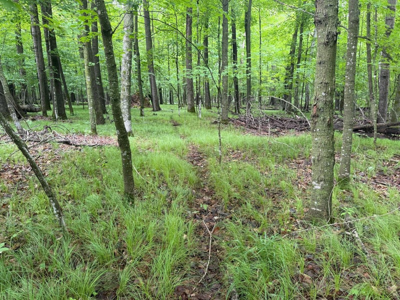 TBD West Bone Lake Dr, Milltown, WI 54858