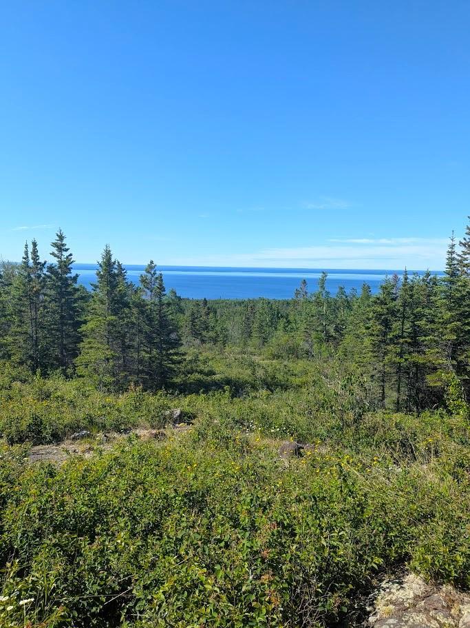 44xx North Rd, Hovland, MN 55606