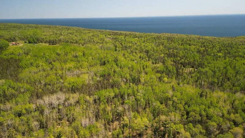 44xx North Rd, Hovland, MN 55606