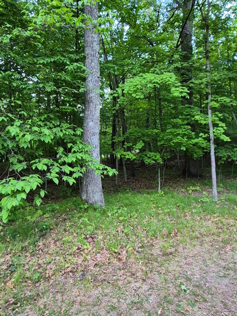 0 195th Pl, Mcgregor, MN 55760