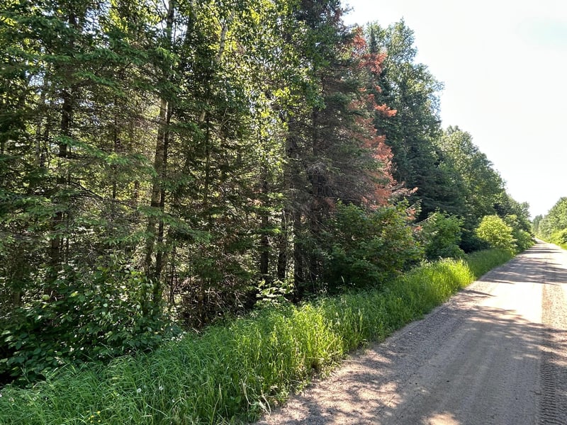 TBD Town Rd 7, Northome, MN 56661