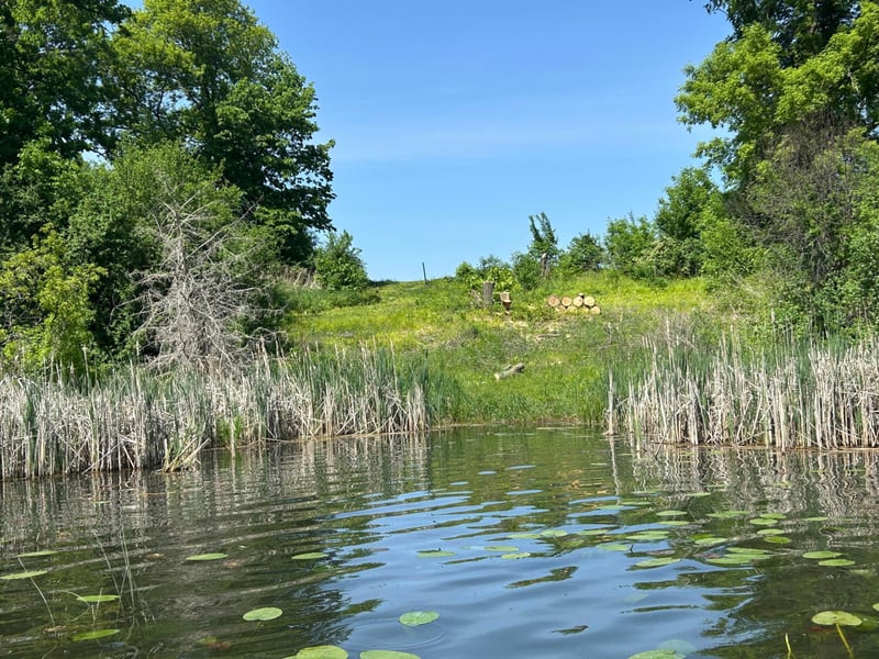 0 80th, Annandale, MN 55302