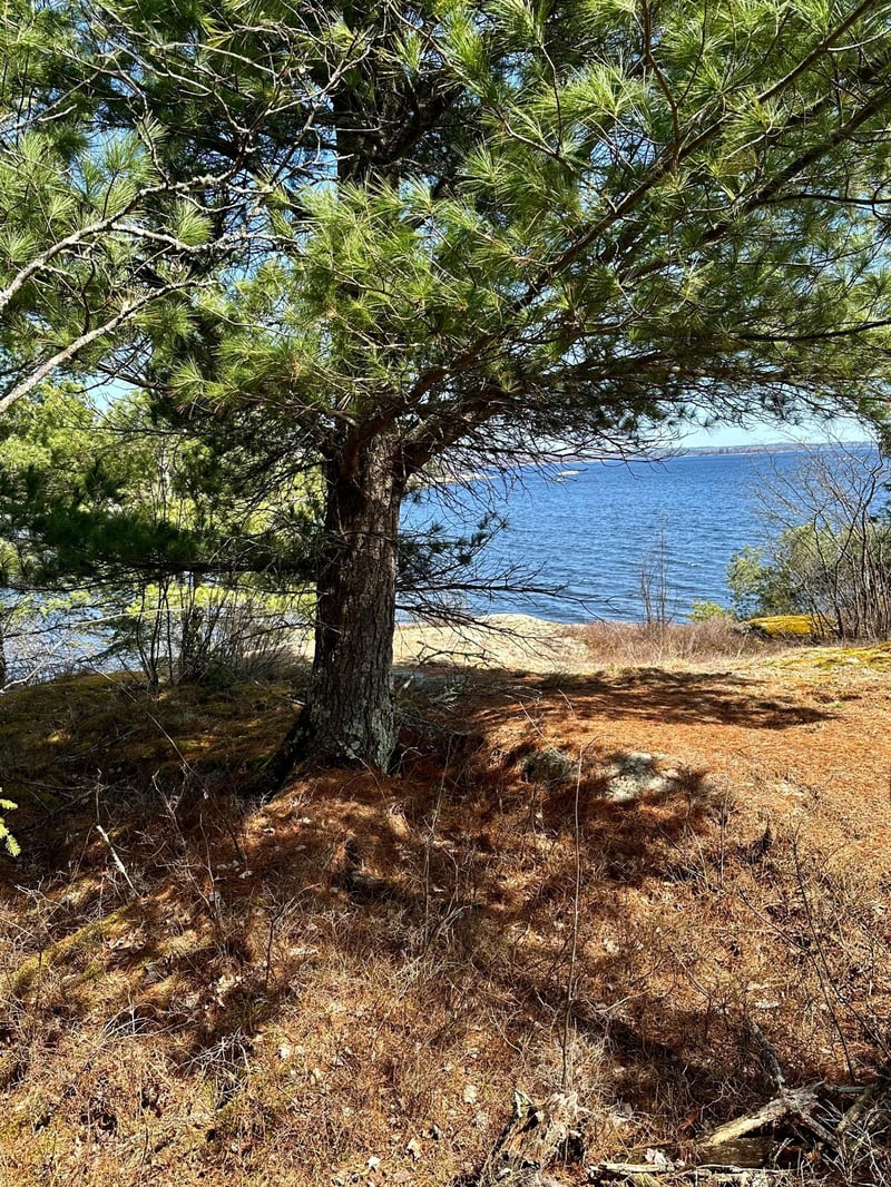 TBD Kabetogama Lake W, Kabetogama, MN 56669