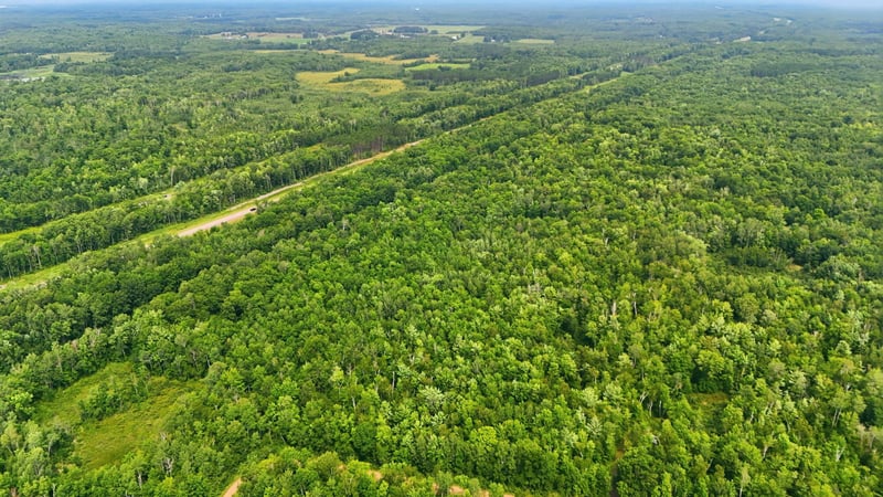 TBD Taylor Birch Rd, Sandstone, MN 55037