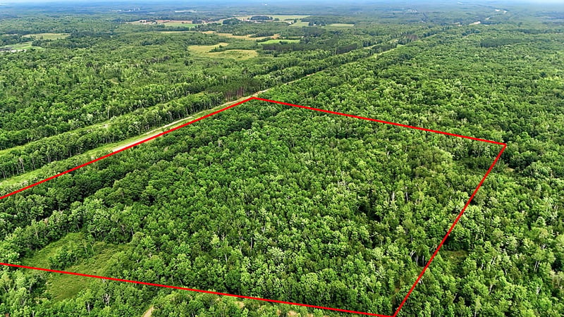 TBD Taylor Birch Rd, Sandstone, MN 55037