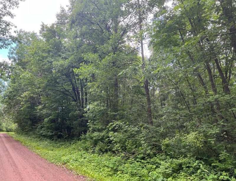 LOT 5 Wilderness Retreat, Pine City, MN 55063