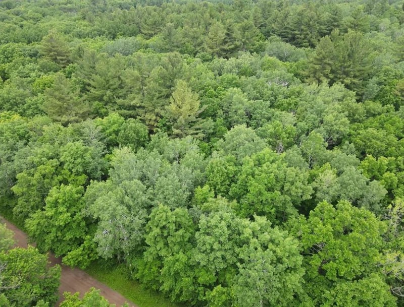 Parcel 2 Wilderness Retreat, Pine City, MN 55063