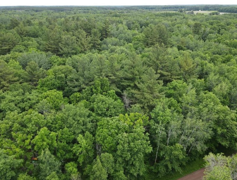 Parcel 2 Wilderness Retreat, Pine City, MN 55063