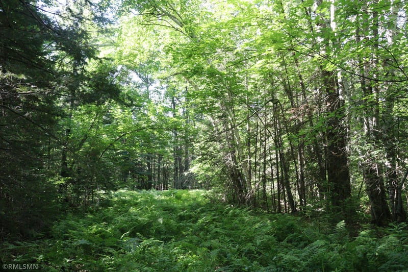 TBD Sawmill Rd, Kerrick, MN 55756