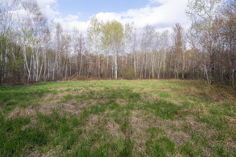 TBD-58AC 465th St, Harris, MN 55032