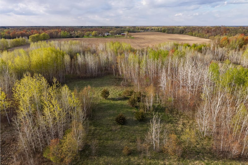 TBD-58AC 465th St, Harris, MN 55032