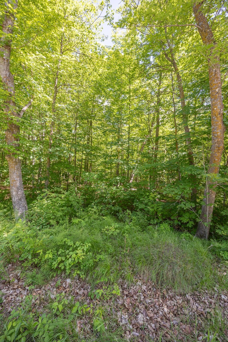 TBD Island View Dr NE, Longville, MN 56655