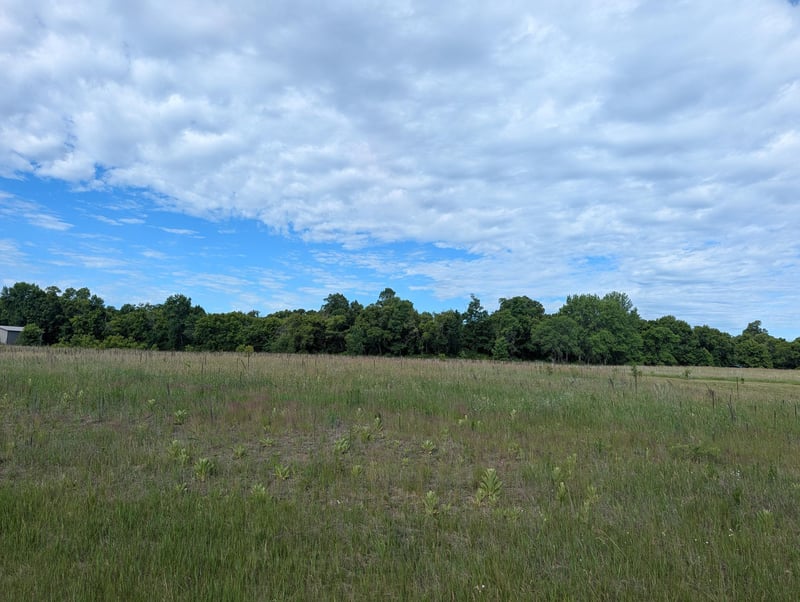 TBD 478th Ave, New York Mills, MN 56567
