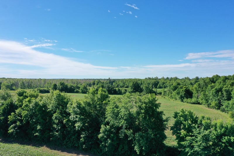 Lot 1 Williams Rd, Grantsburg, WI 54840