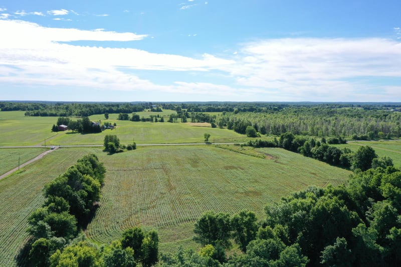Lot 1 Williams Rd, Grantsburg, WI 54840